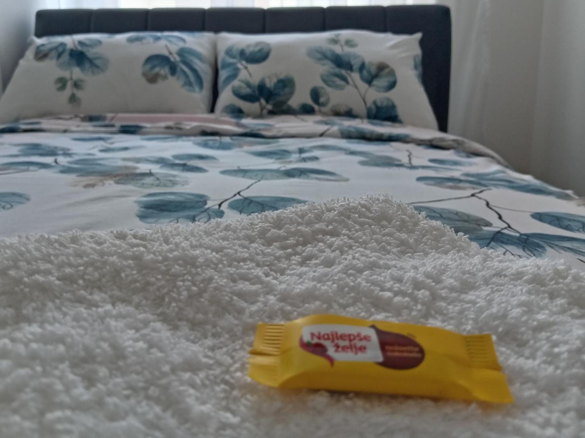 Tera Apartment Zemun ベオグラード エクステリア 写真