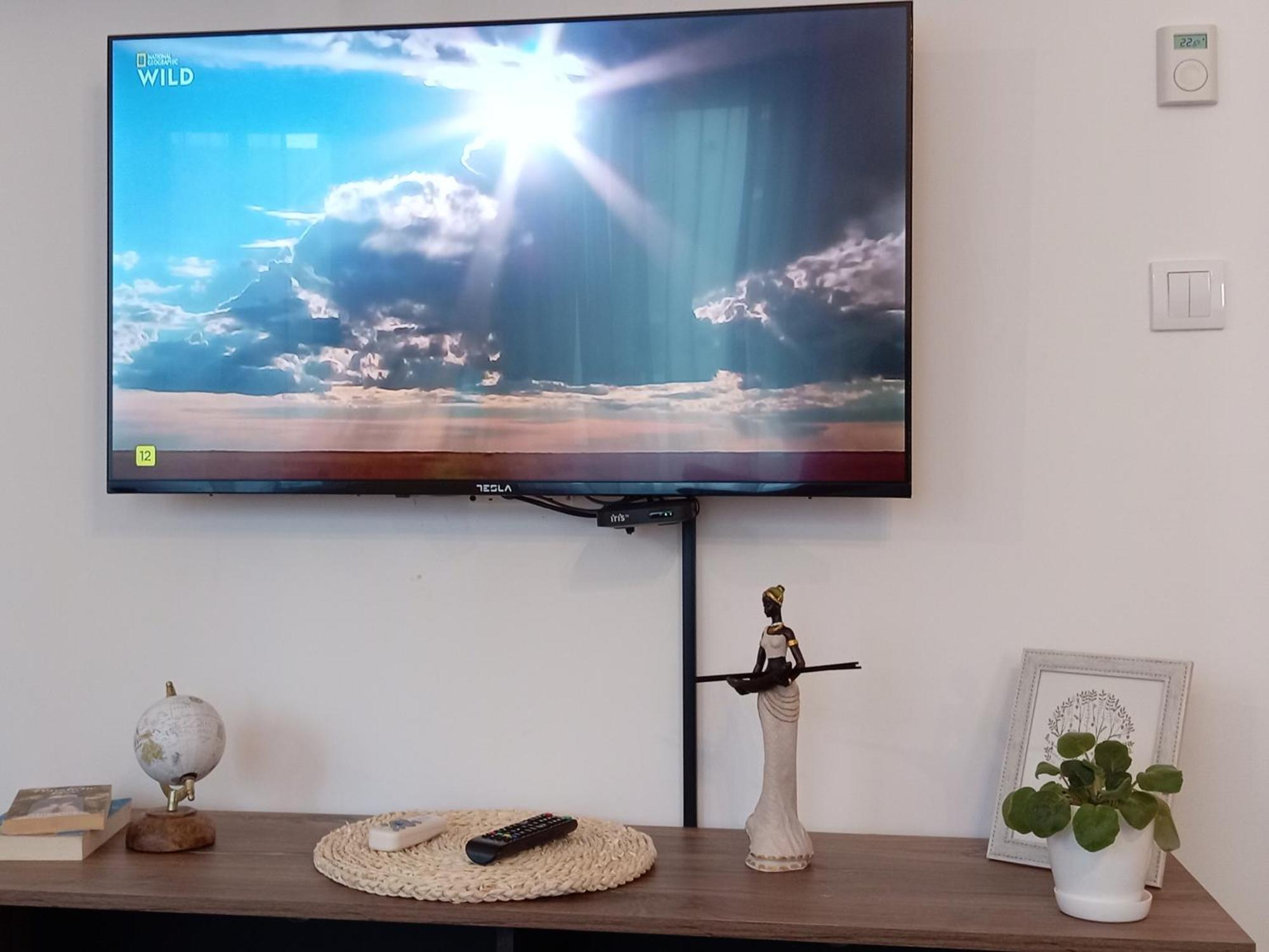 Tera Apartment Zemun ベオグラード 部屋 写真