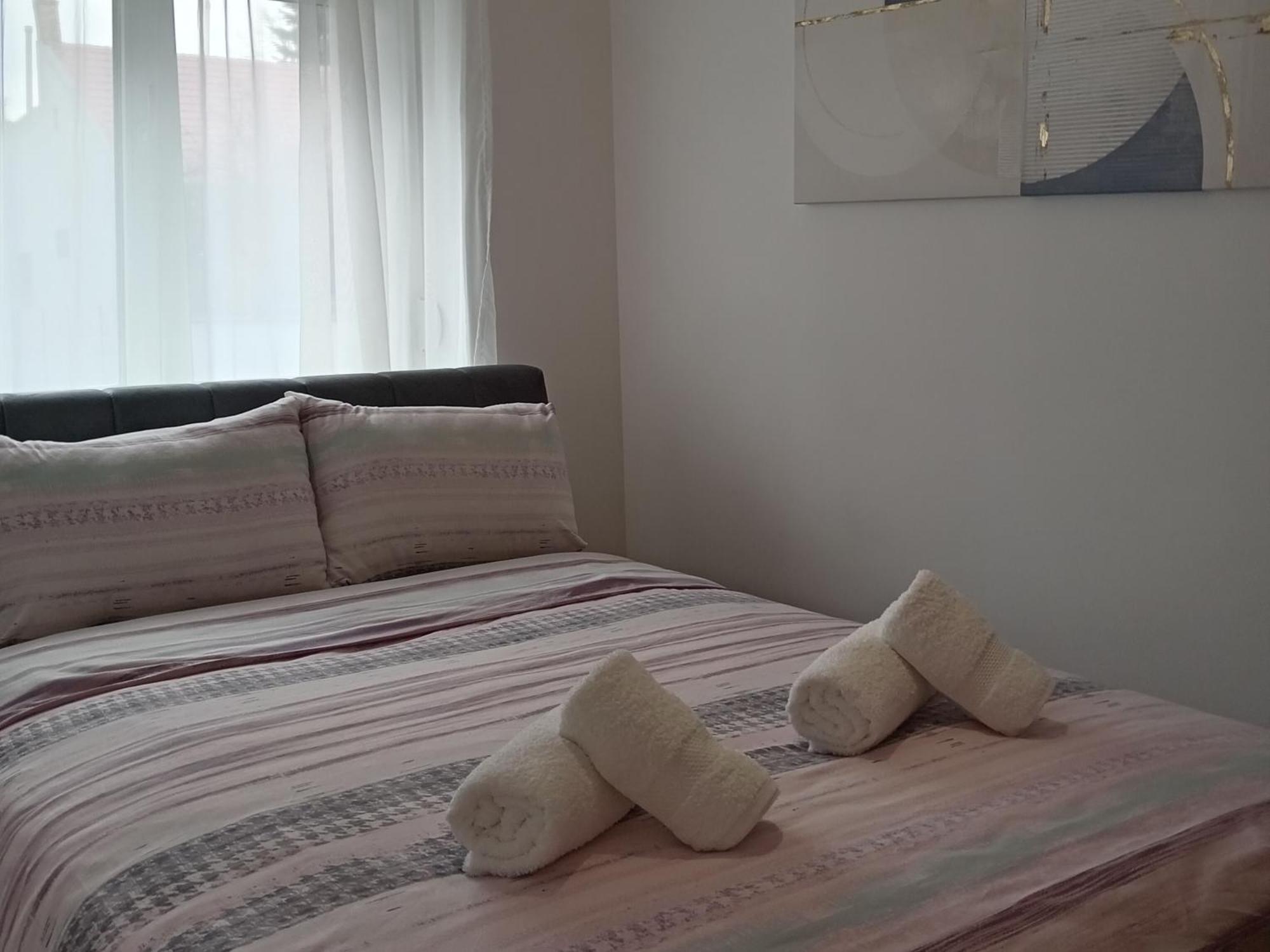 Tera Apartment Zemun ベオグラード 部屋 写真