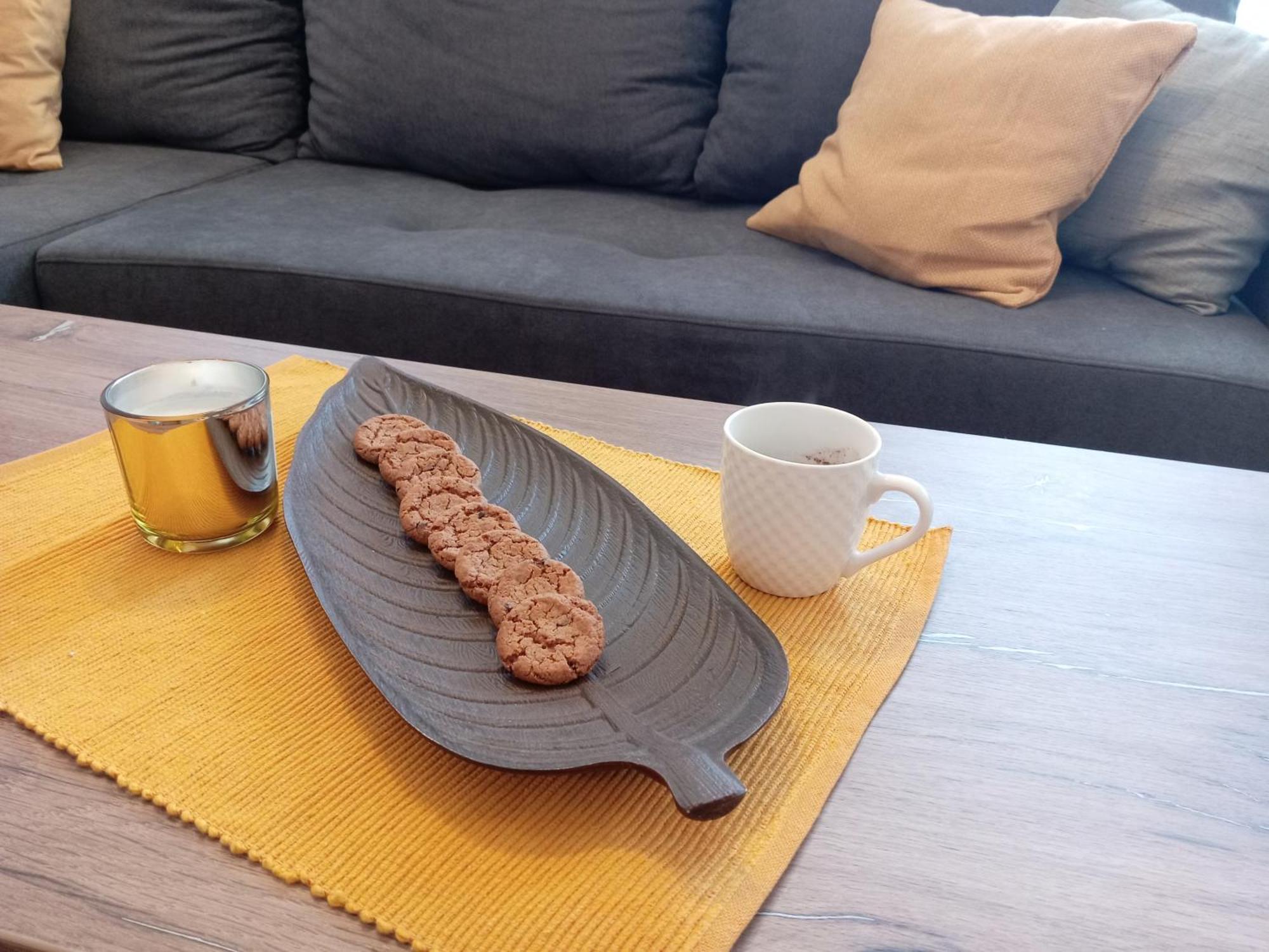 Tera Apartment Zemun ベオグラード 部屋 写真